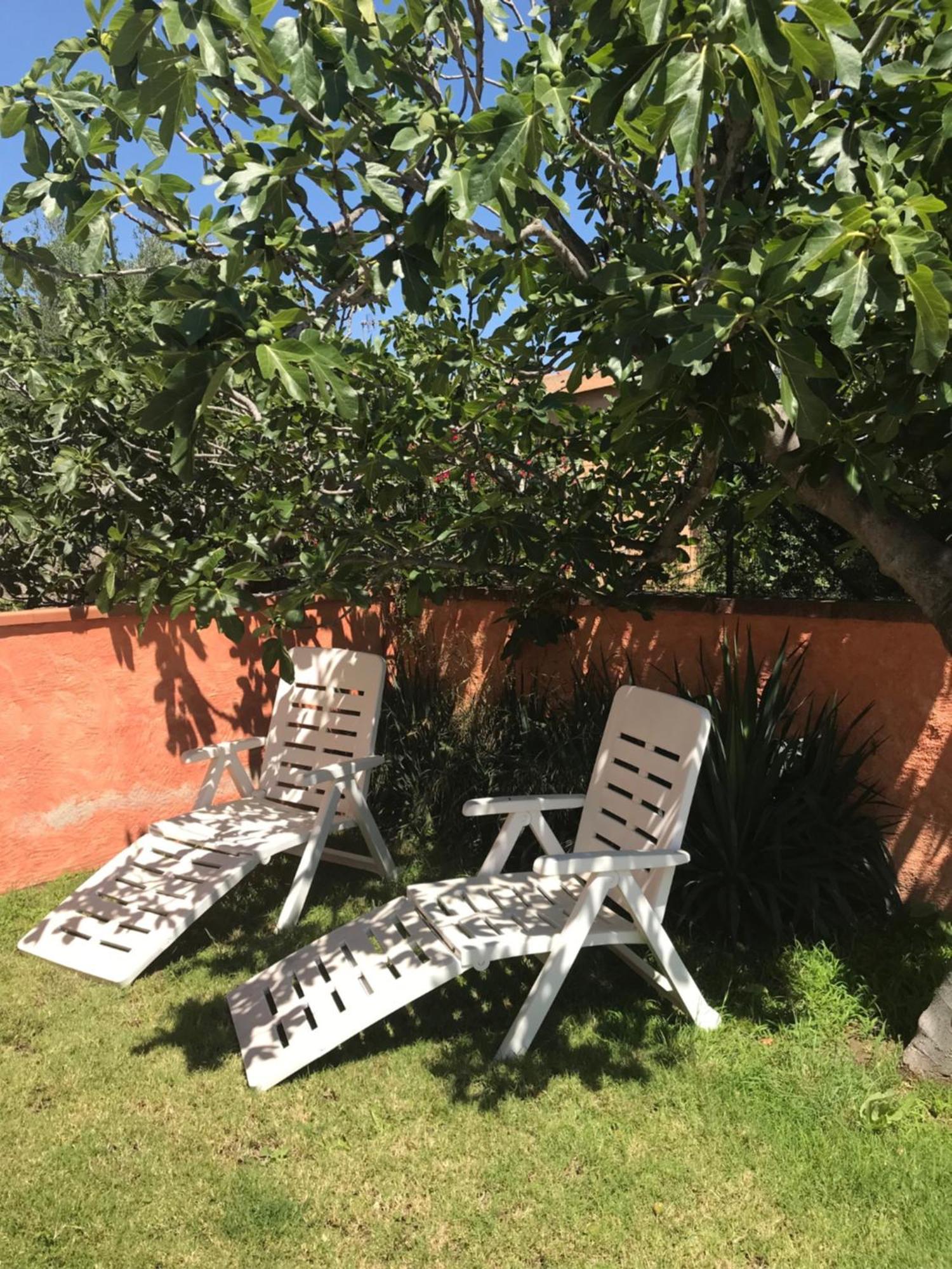 B&B Da Tizy San Teodoro  Exterior photo